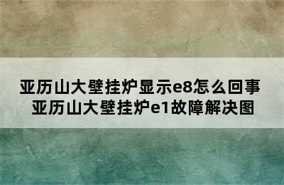 亚历山大壁挂炉显示e8怎么回事 亚历山大壁挂炉e1故障解决图